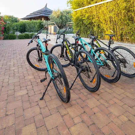 Gallo Galovac (Zadar)